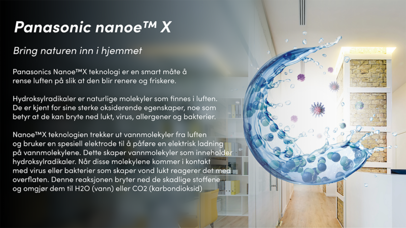 Hva er Nanoe X